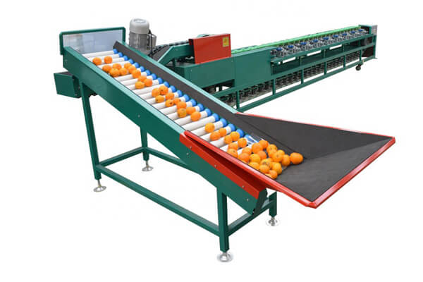 Jasa-Import-Mesin-Pengolah-Buah-081398881288.jpg